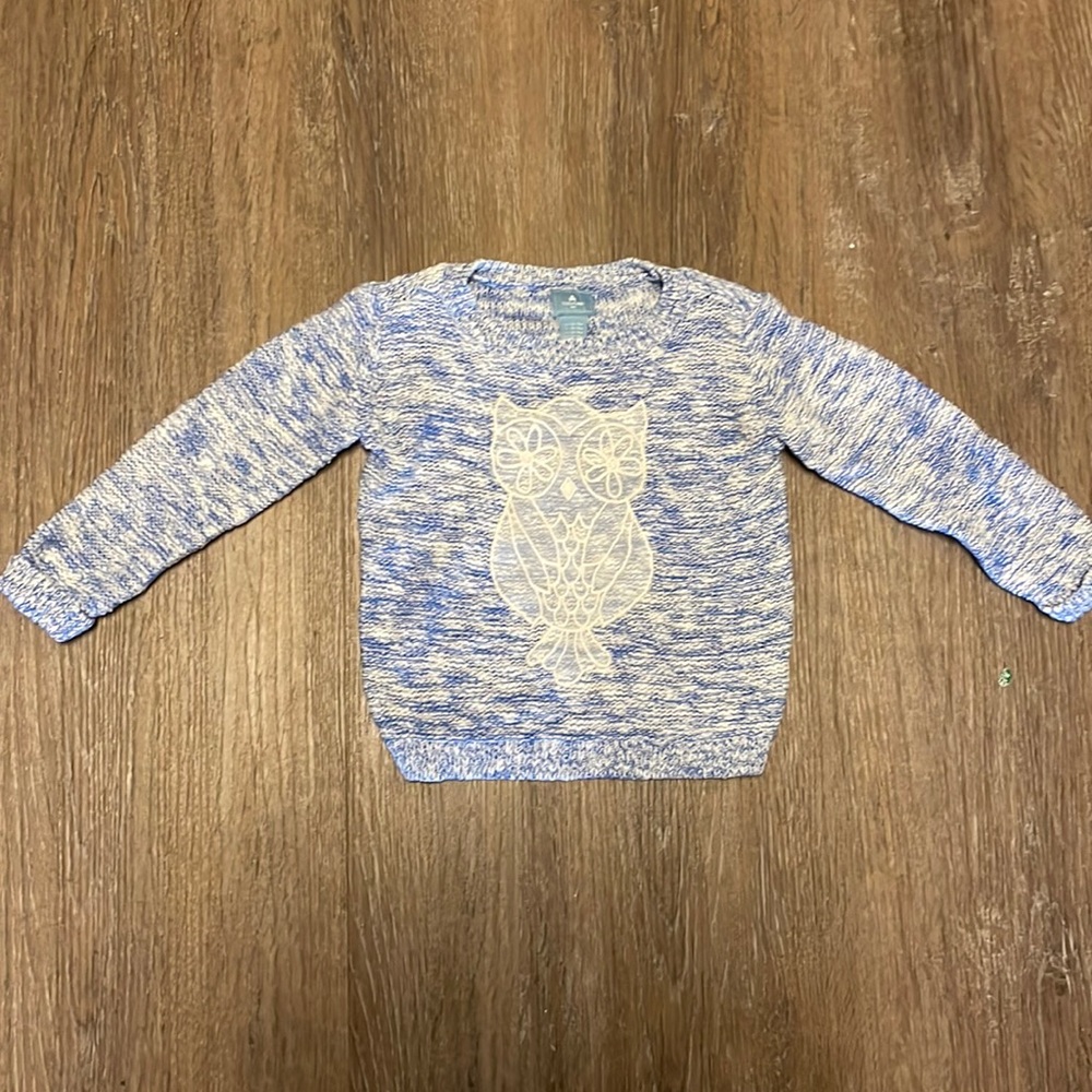BabyGap blue and white sweater with adorable owl detail